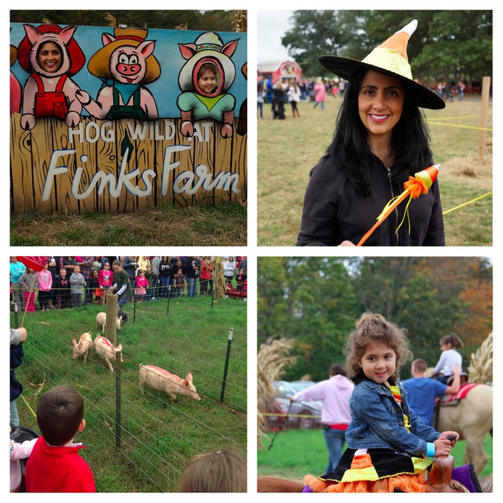 pumpkin picking, long island, fink's farm, fall, family travel, eastern long island