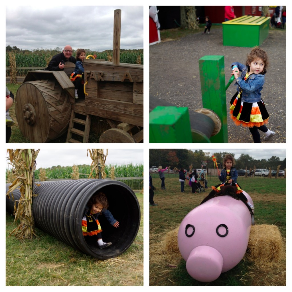 Globetrotting Mommy - Pumpkin Picking on Long Island