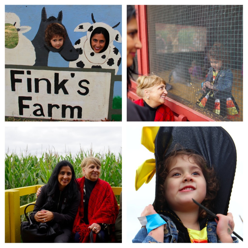 Finks Farm 3