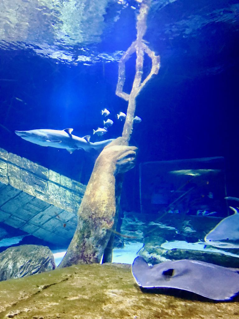 Long Island Aquarium, East End, riverhead, family Travel