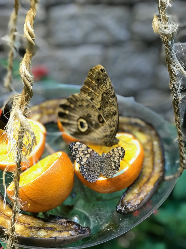 Long Island's East End, Long Island Aquarium