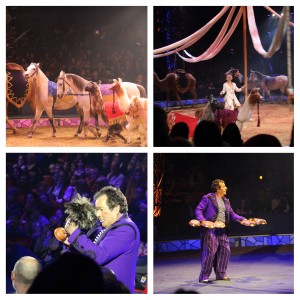 Spotlight on NYC: Big Apple Circus Review - Globetrotting Mommy