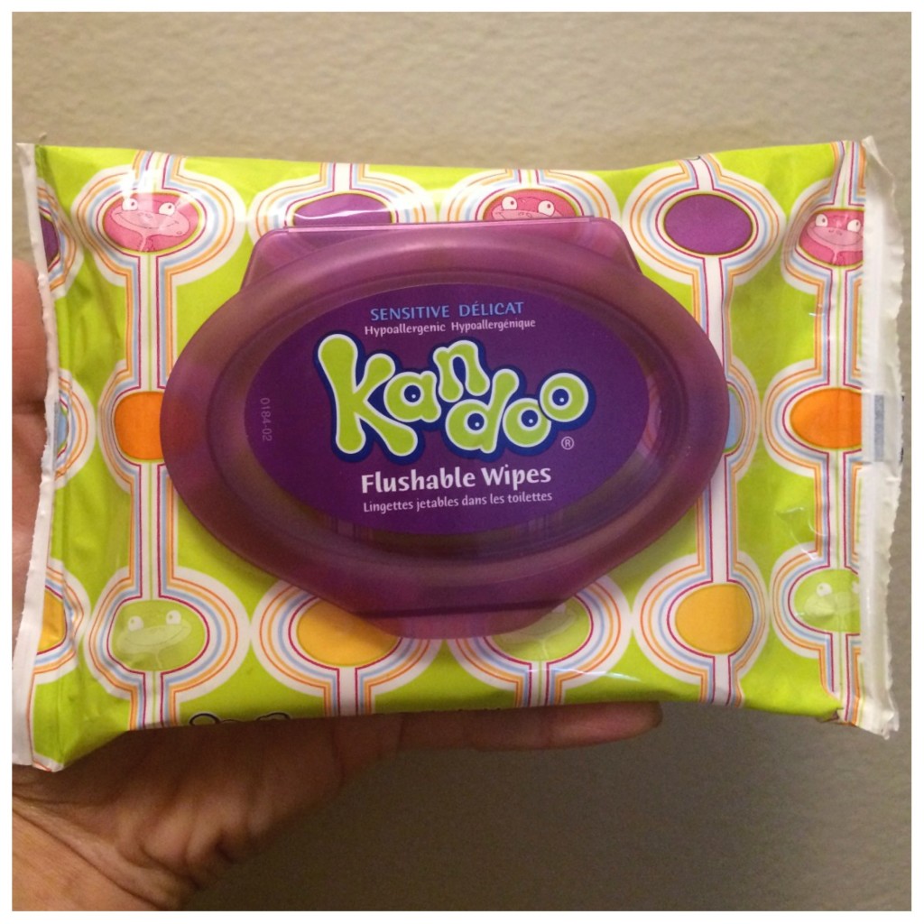 Family Travel, Potty Training, Must Haves, Traveling While Potty Training, Disposable wipes, Kandoo wipes