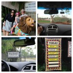 Globetrotting Mommy - Spotlight on Florida at Lion Country Safari