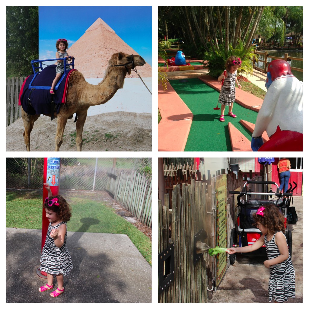 Globetrotting Mommy - Spotlight on Florida. Tips for Visiting Lion Country Safari